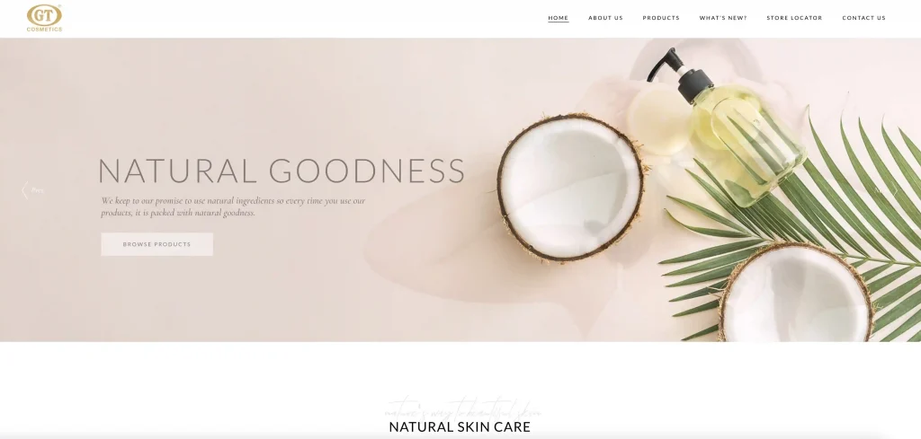 GT-Cosmetics-Manufacturing-Inc. ウェブサイト - フィリピンのスキンケアメーカートップ11 2026 - Zicail