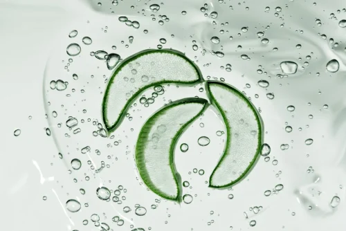 Aloe vera slices submerged in a bubbly liquid - Natural Skincare Routine: Simple Steps for Healthy Skin [October 2026] - Zicail