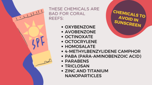 Harmful chemicals in sunscreen ocean acidification - Does Sunscreen Cause Acne? Myths, Facts & What Really Matters 2026 - Zicail Harmful chemicals in sunscreen ocean acidification - Does Sunscreen Cause Acne? Myths, Facts & What Really Matters 2026 - Zicail