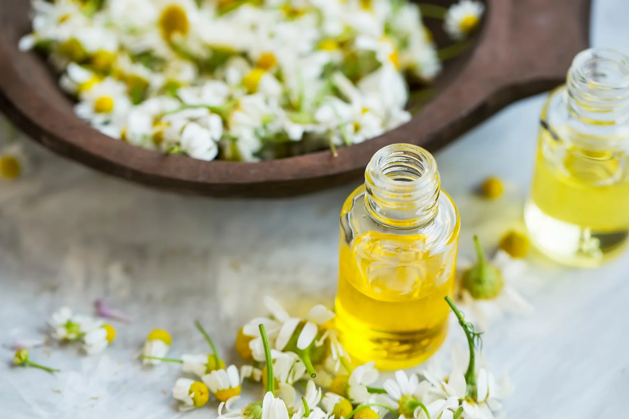 Chamomile oil for skin beside fresh flower heads - Chamomile in Skincare: Benefits & How to Use 2026 - Zicail Chamomile oil for skin beside fresh flower heads - Chamomile in Skincare: Benefits & How to Use 2026 - Zicail