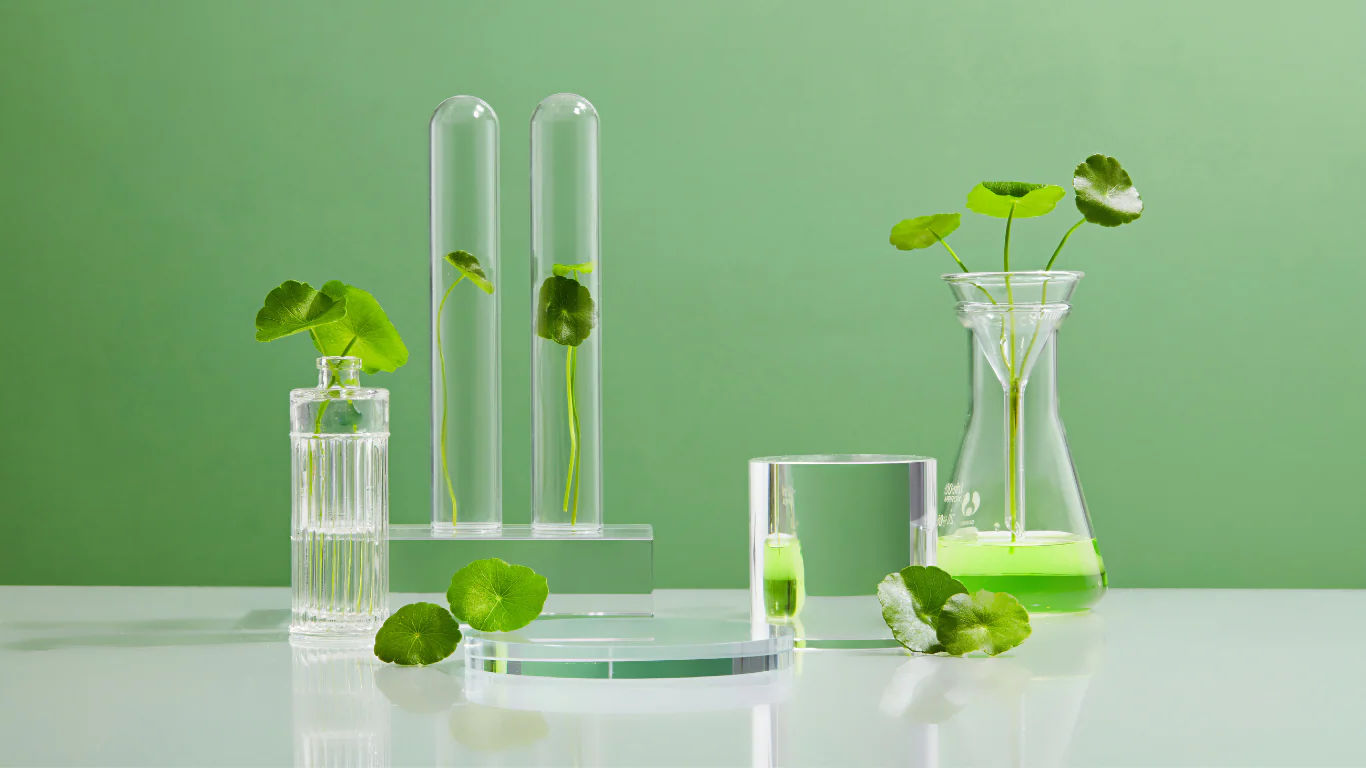 マデカソシド抽出物は植物とともに研究室で研究されている - スキンケアにおけるマデカソシド:利点と用途 2026 - Zicail マデカソシド抽出物は植物とともに研究室で研究されている - スキンケアにおけるマデカソシド:利点と用途 2026 - Zicail