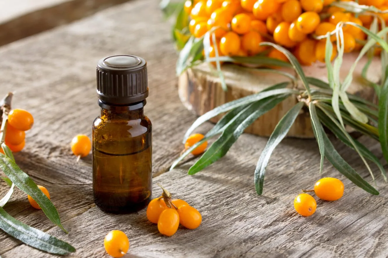 Sea buckthorn oil benefits with fresh berries and green leaves for skin