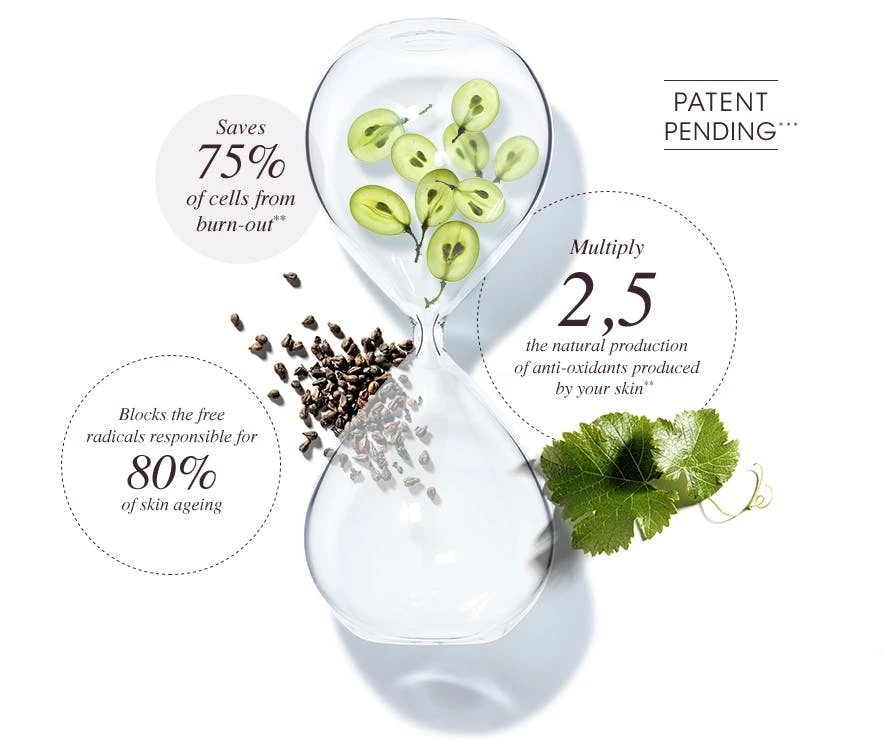 Anti aging concept with Polyphenols for skin protection - Polyphenols for Skin: Benefits, Uses & Science 2026 - Zicail Anti aging concept with Polyphenols for skin protection - Polyphenols for Skin: Benefits, Uses & Science 2026 - Zicail