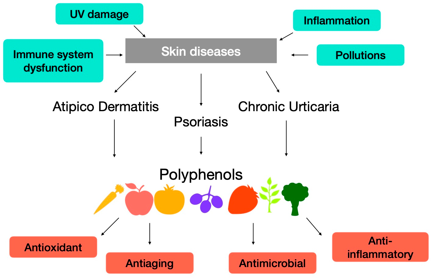 Diagram showing Polyphenols for skin antioxidant effects - Polyphenols for Skin: Benefits, Uses & Science 2026 - Zicail Diagram showing Polyphenols for skin antioxidant effects - Polyphenols for Skin: Benefits, Uses & Science 2026 - Zicail