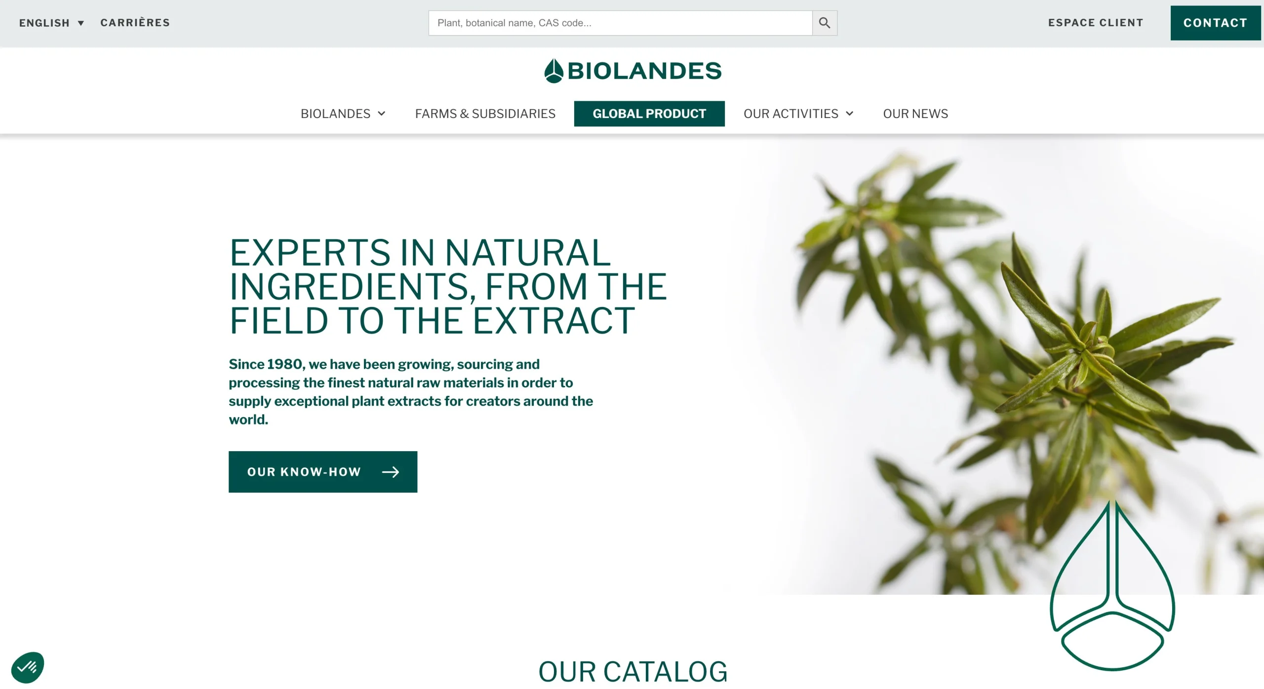 Biolandes SASのウェブサイトのスクリーンショット。世界トップクラスのエッセンシャルオイルメーカーの1つ - 世界トップクラスのエッセンシャルオイルメーカー2026 - Zicail Biolandes SASのウェブサイトのスクリーンショット。世界トップクラスのエッセンシャルオイルメーカーの1つ - 世界トップクラスのエッセンシャルオイルメーカー2026 - Zicail